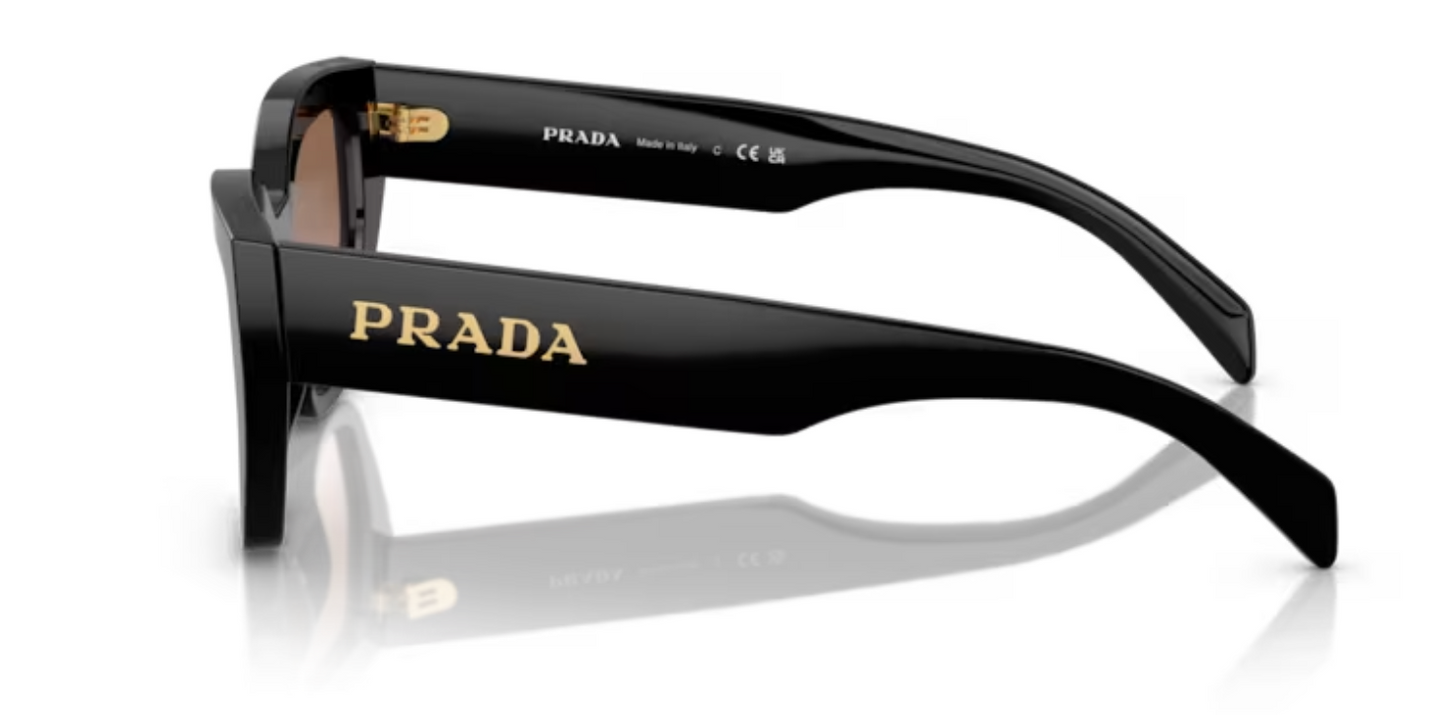 PRADA Cat-eye shape Sunglasses PR A09S